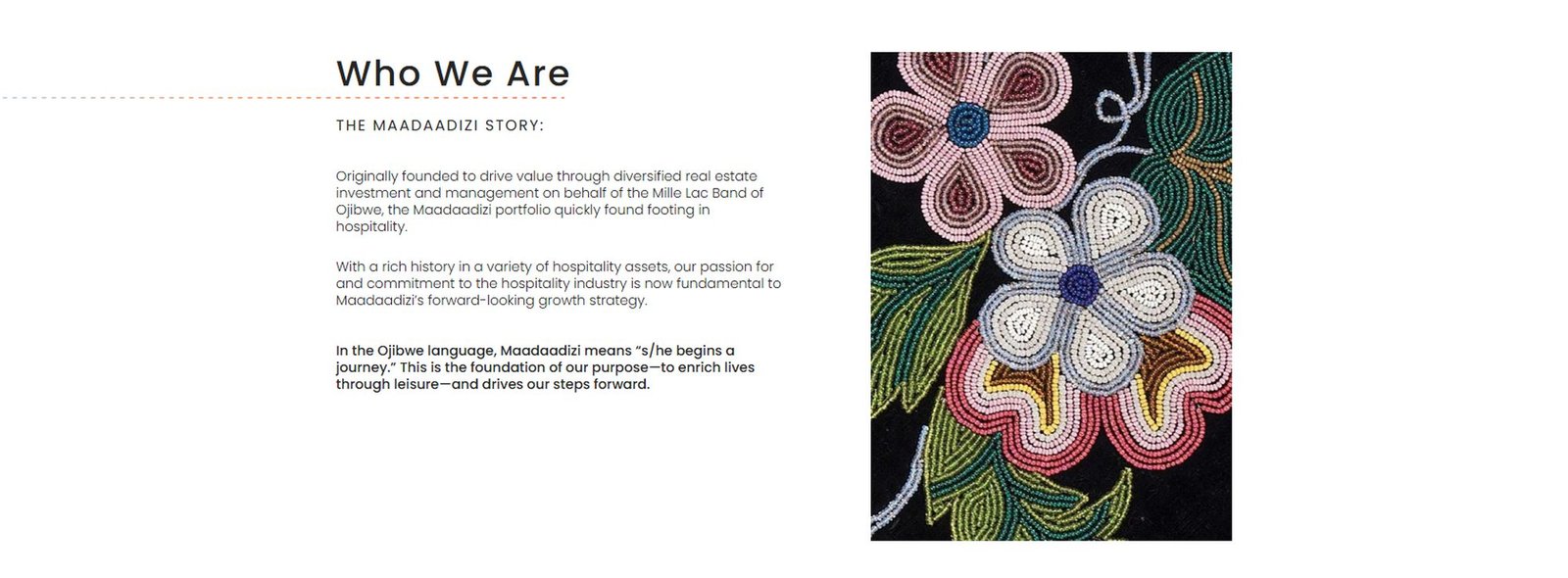 Maadaadizi website screenshot 2