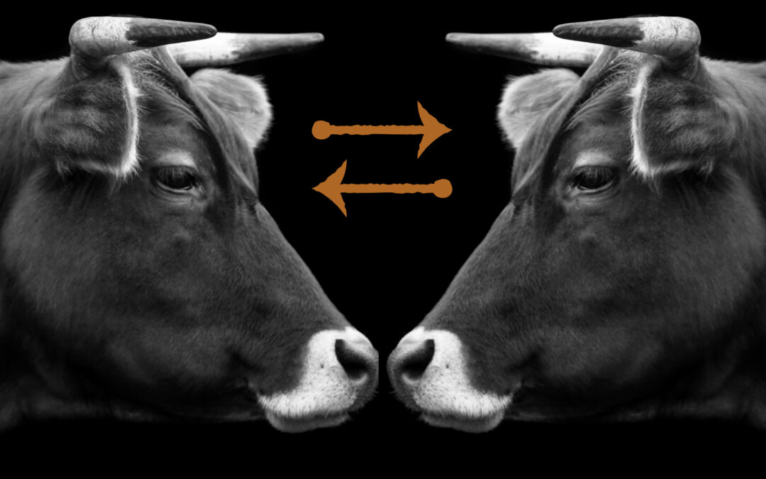 Why Brand Consistency is Key to Long-Term Success