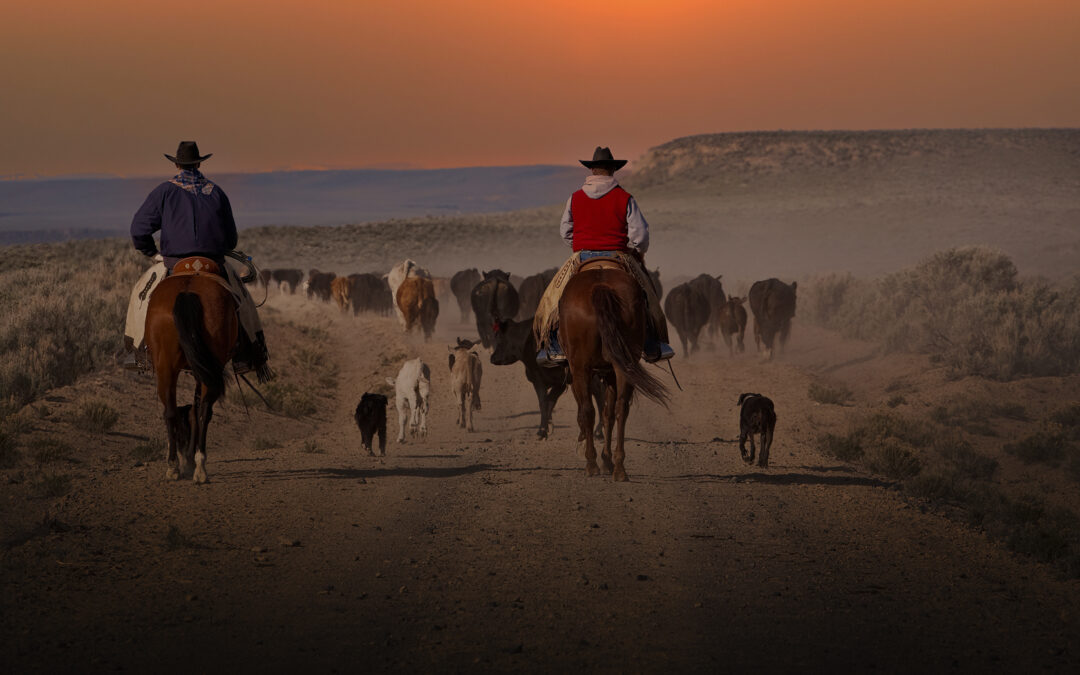 Storytelling vs. Selling: Why the Best Brands Choose Emotion Over Promotion