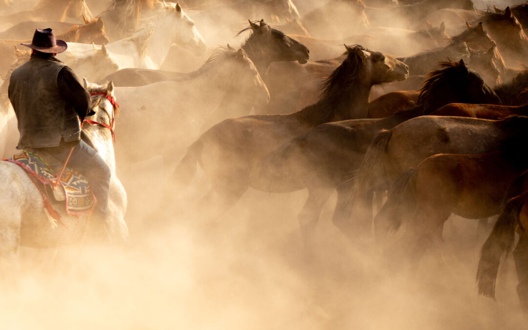 The Role of Emotional Connection in Building a Strong Brand Identity