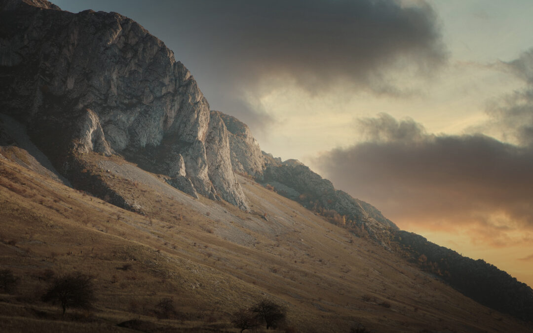 Why Branding and Storytelling Go Hand-in-Hand for Business Success