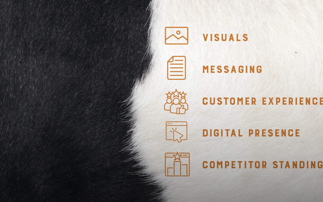 What a Brand Audit Can Reveal About Your Market Position