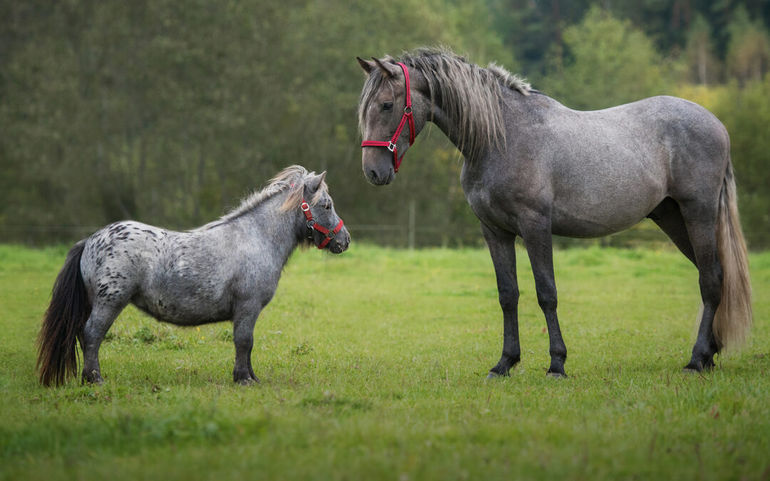 How Strategic Branding Drives Scalable Business Growth