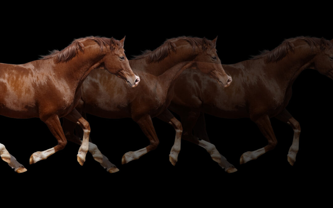 How to Future-Proof Your Brand in a Rapidly Changing World