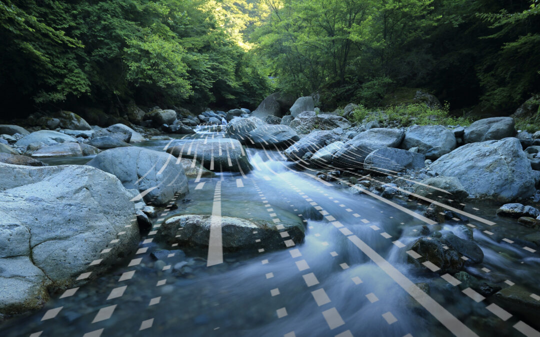 Merging Creativity and Data: A New Era of Brand Building