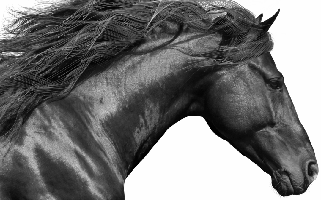 How Data‑Driven Insights Can Supercharge Your Brand Refresh