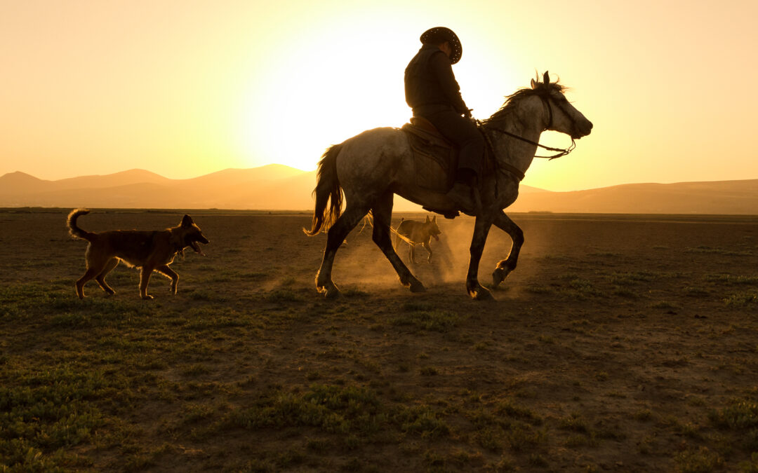 Building Brand Trust: The Key to Customer Loyalty and Advocacy