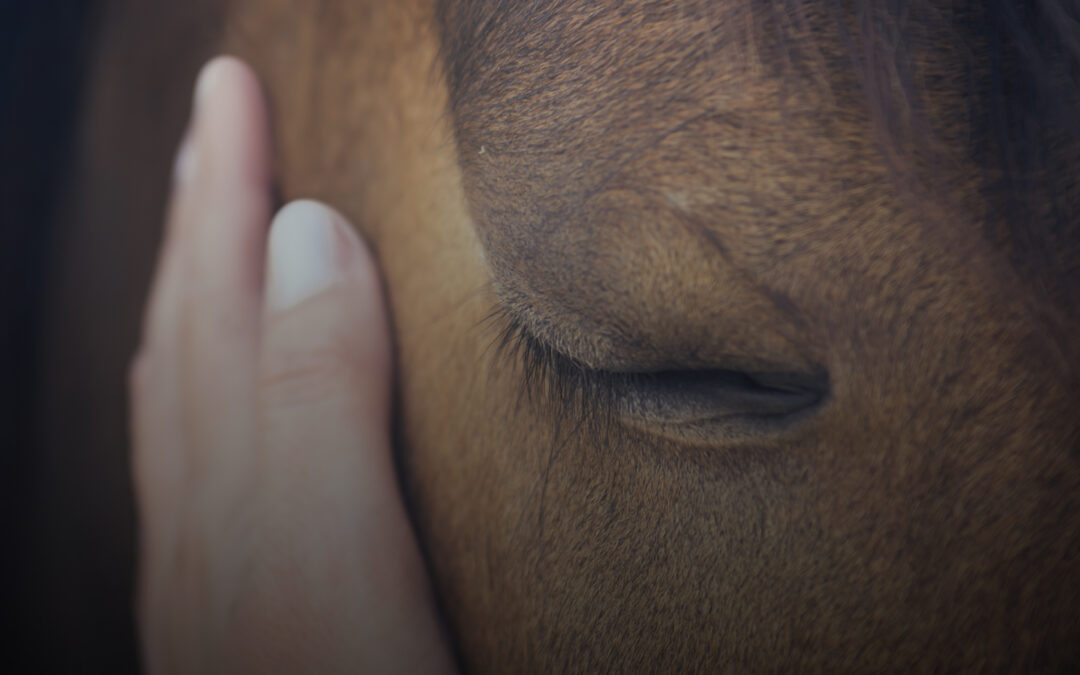 The Power of Brand Storytelling: Connecting Emotionally with Your Audience