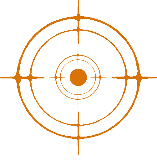 Bullseye target flow@1x-25fps