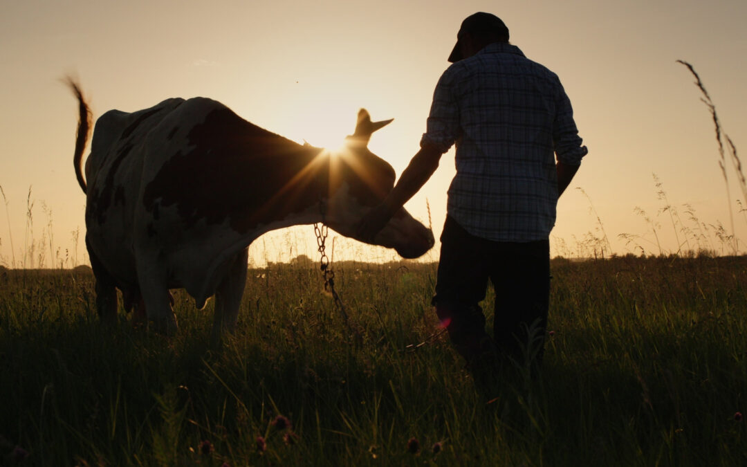 The Psychology Behind Brand Loyalty: What Keeps Customers Hooked?