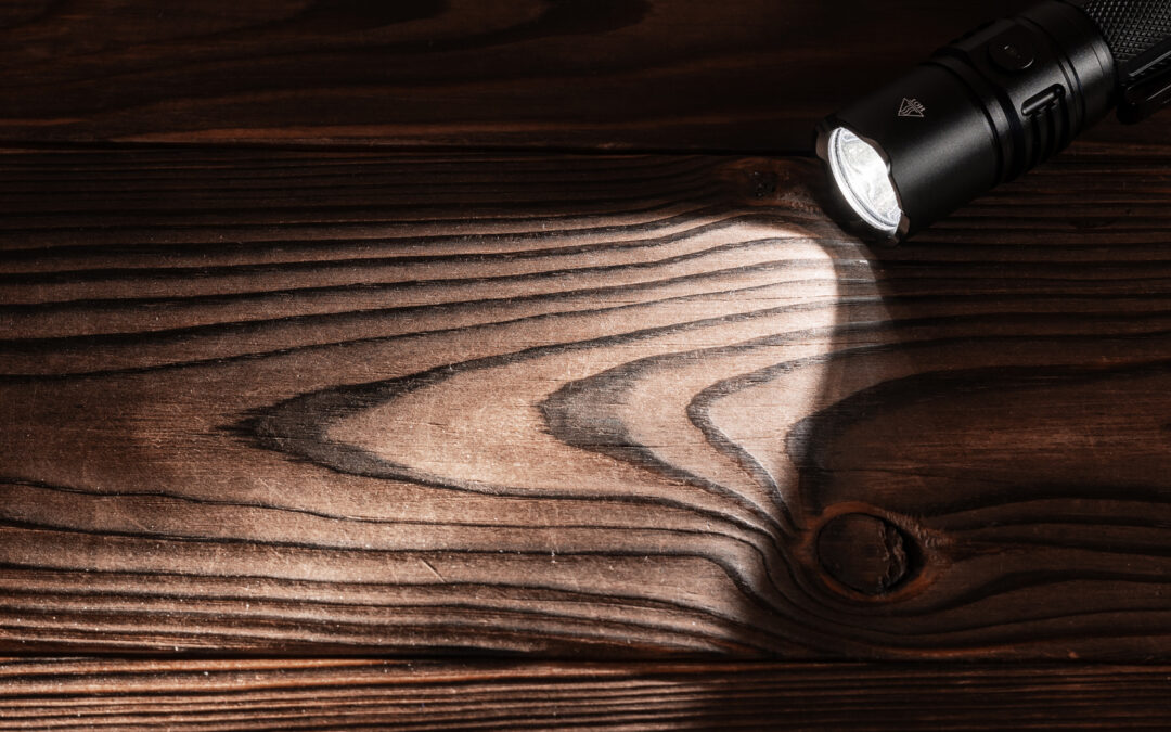 Brand Discovery That Drives Investor Confidence and Capital Raises