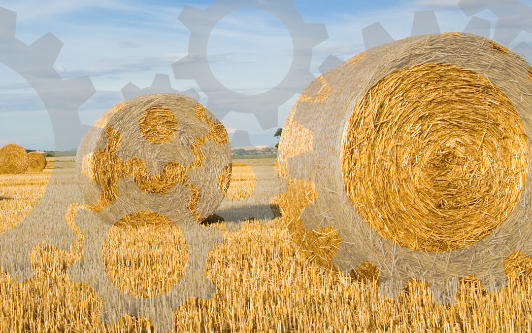 Boost Your Brand’s Reach with Integrated Marketing Campaigns