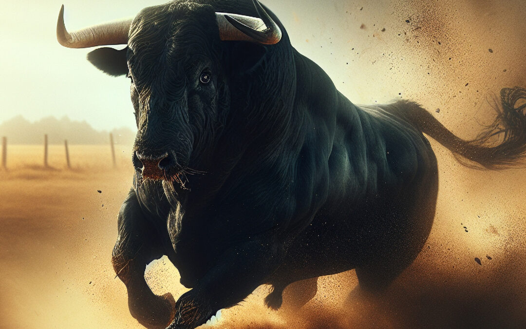 Key Steps in Building a Strong Brand: A Comprehensive Brand Development Strategy