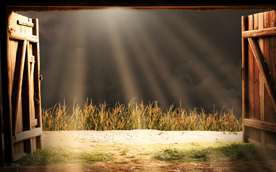 Unlocking the Power of Digital Branding Solutions for Your Business